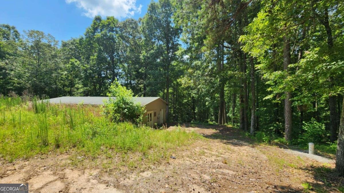 134 Cicero Trail Dawsonville - 15