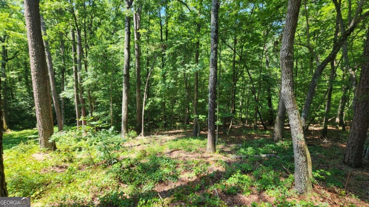 134 Cicero Trail Dawsonville - 4