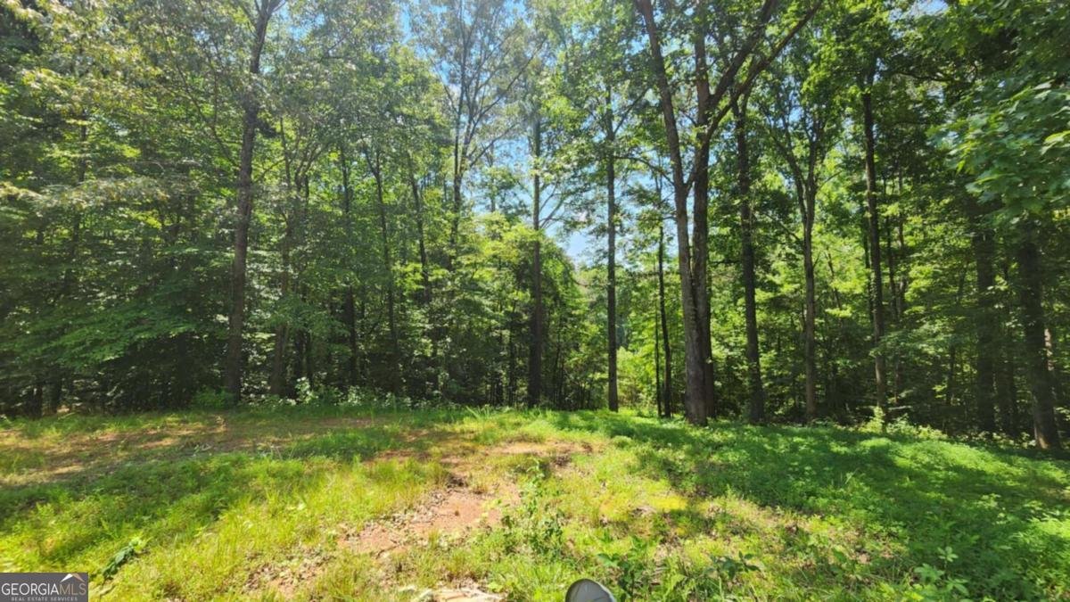 134 Cicero Trail Dawsonville - 5