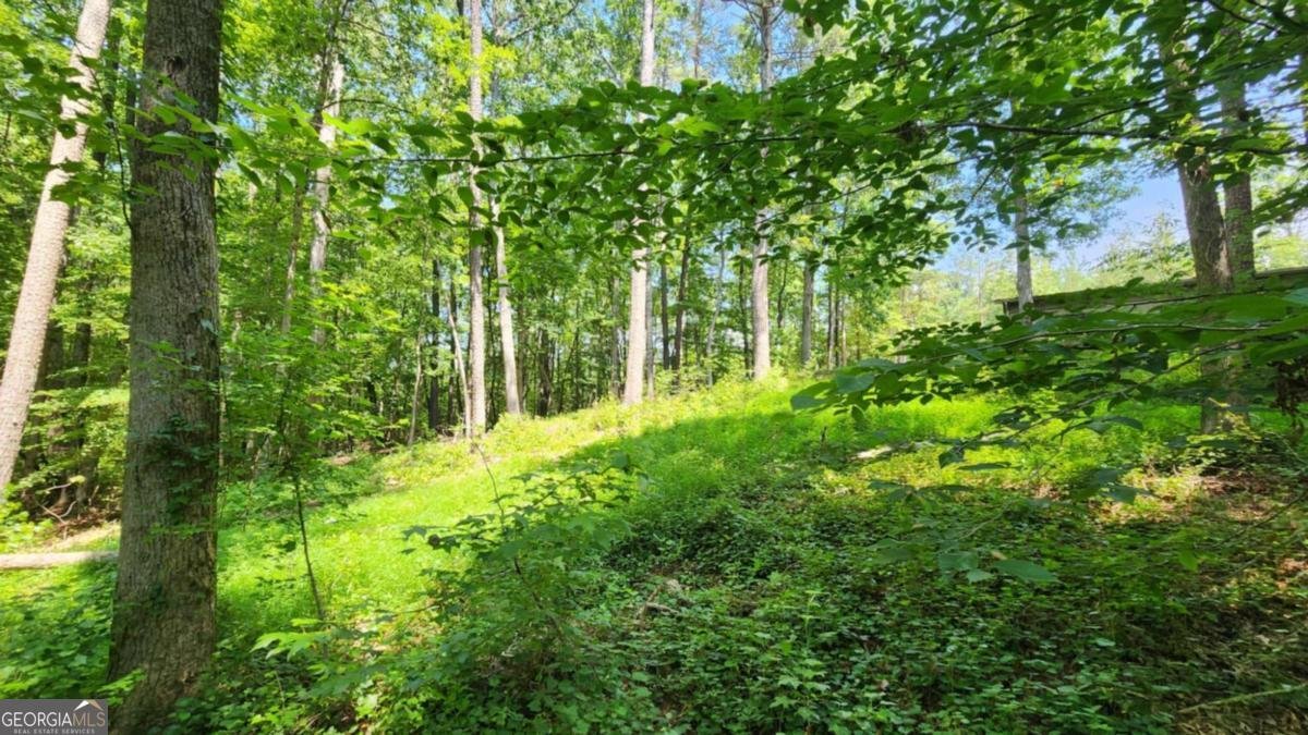 134 Cicero Trail Dawsonville - 6