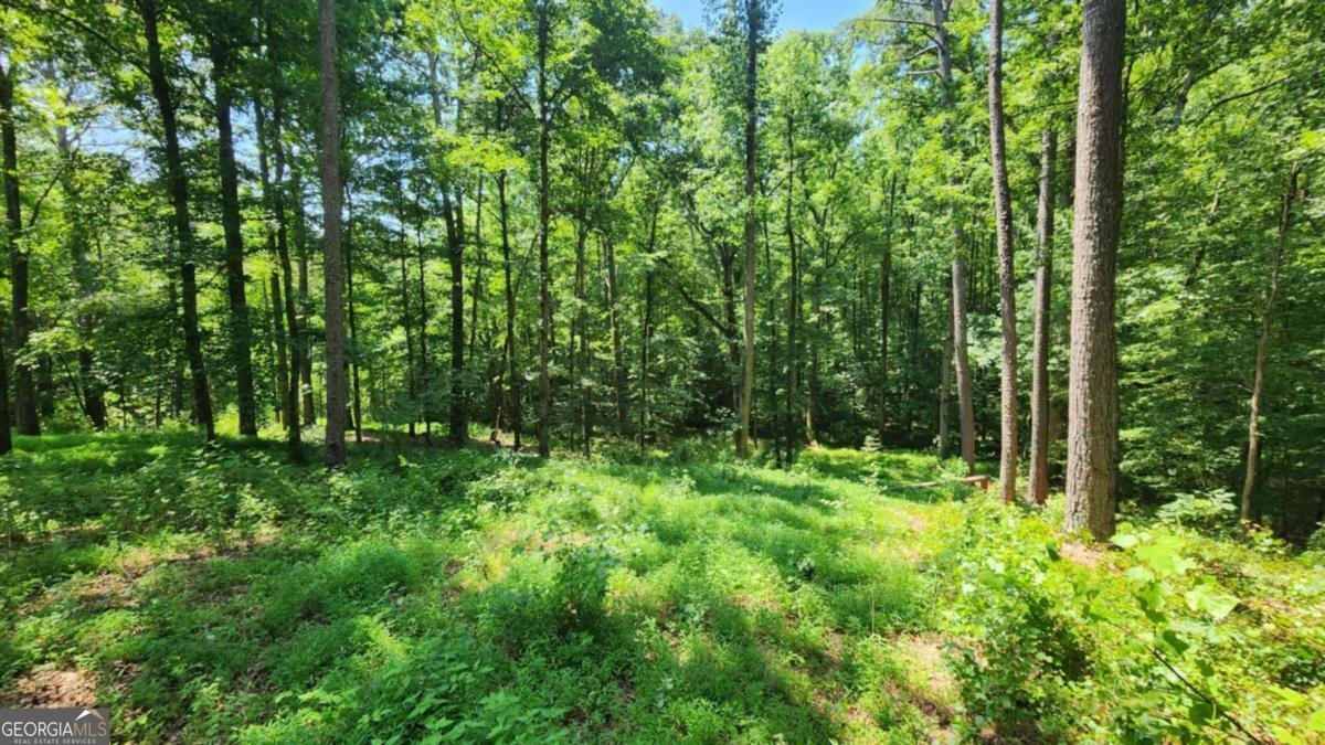 134 Cicero Trail Dawsonville - 7