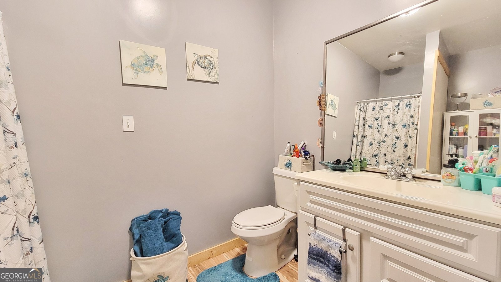 7346 Banks Mill Road Douglasville - 47