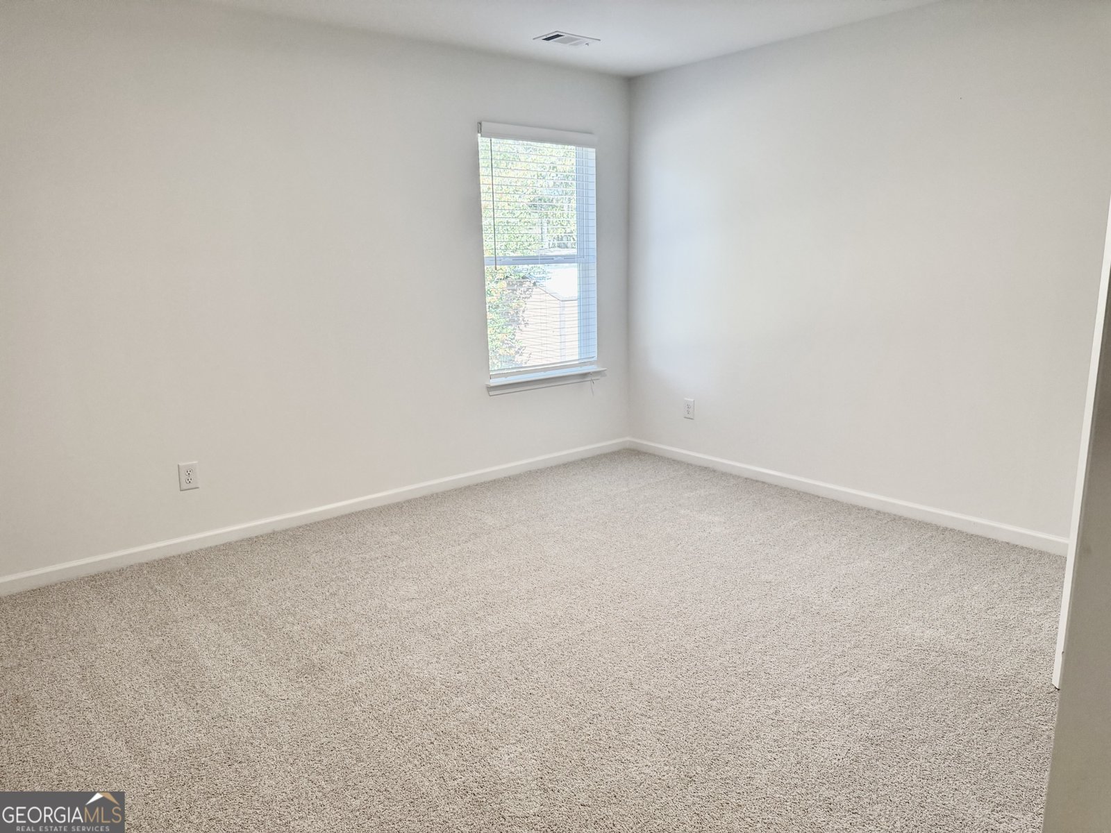 16 Silver Leaf Lane Dawsonville - 14