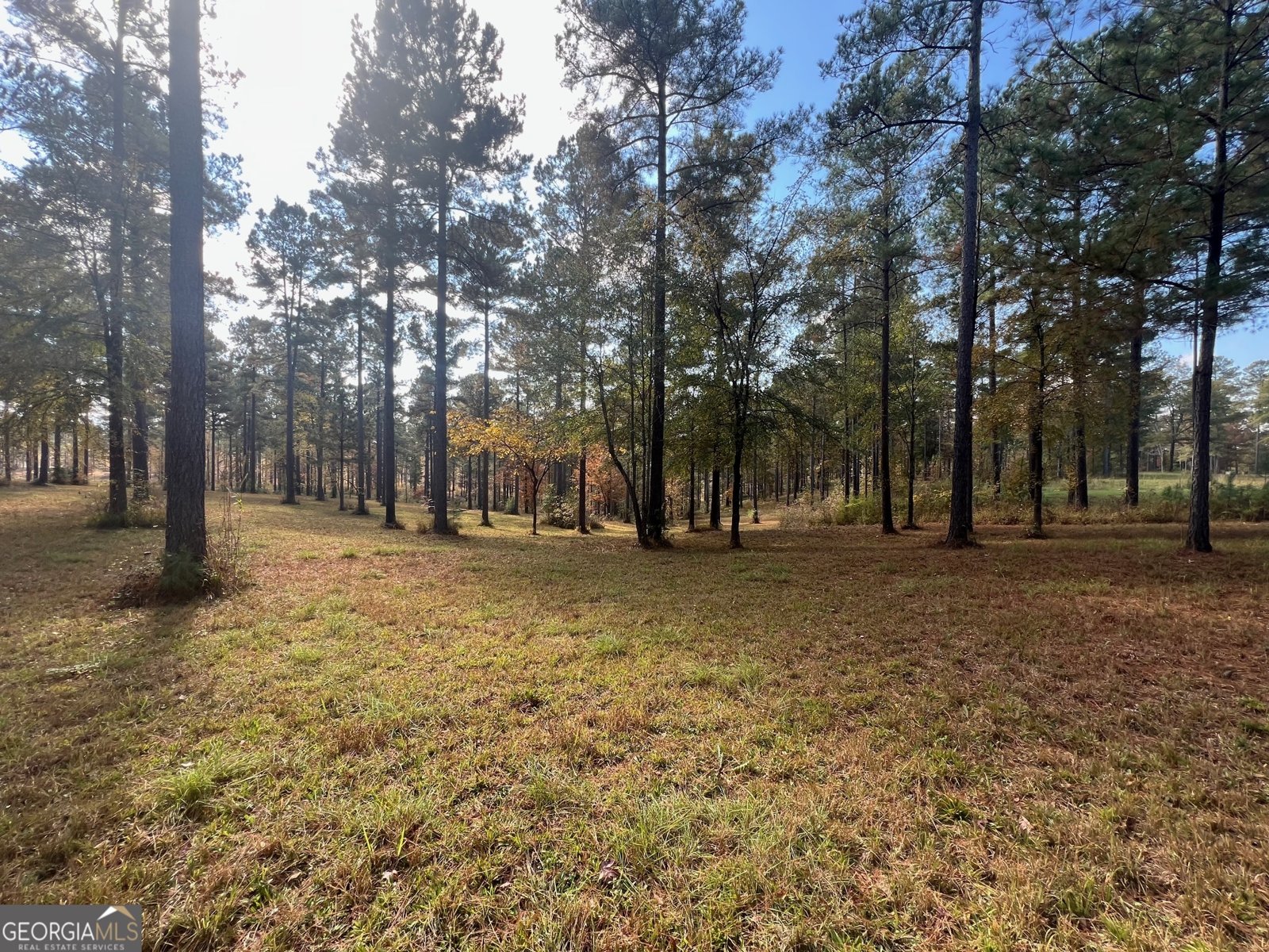 117 Overlook Drive Eatonton - 10