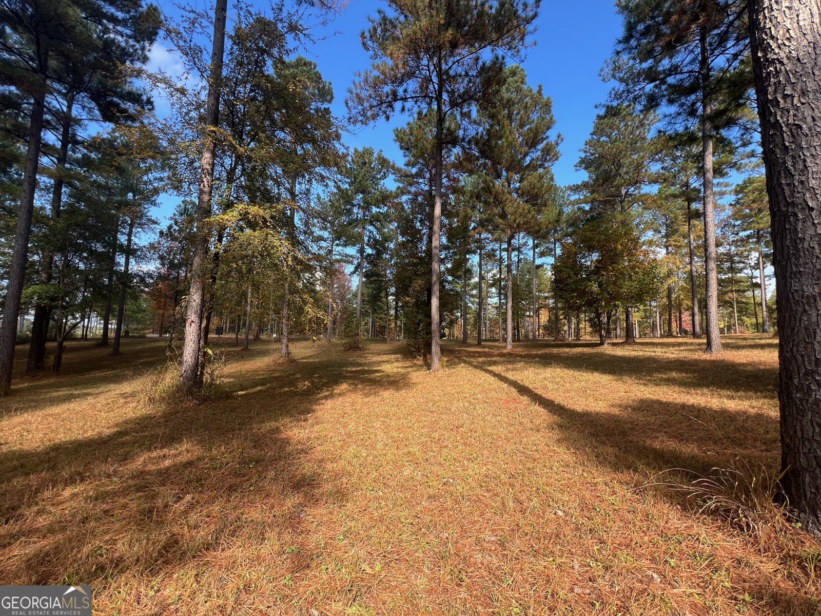 117 Overlook Drive Eatonton - 11