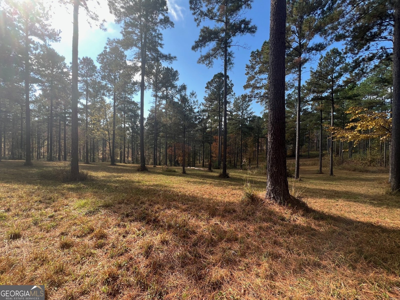 117 Overlook Drive Eatonton - 12