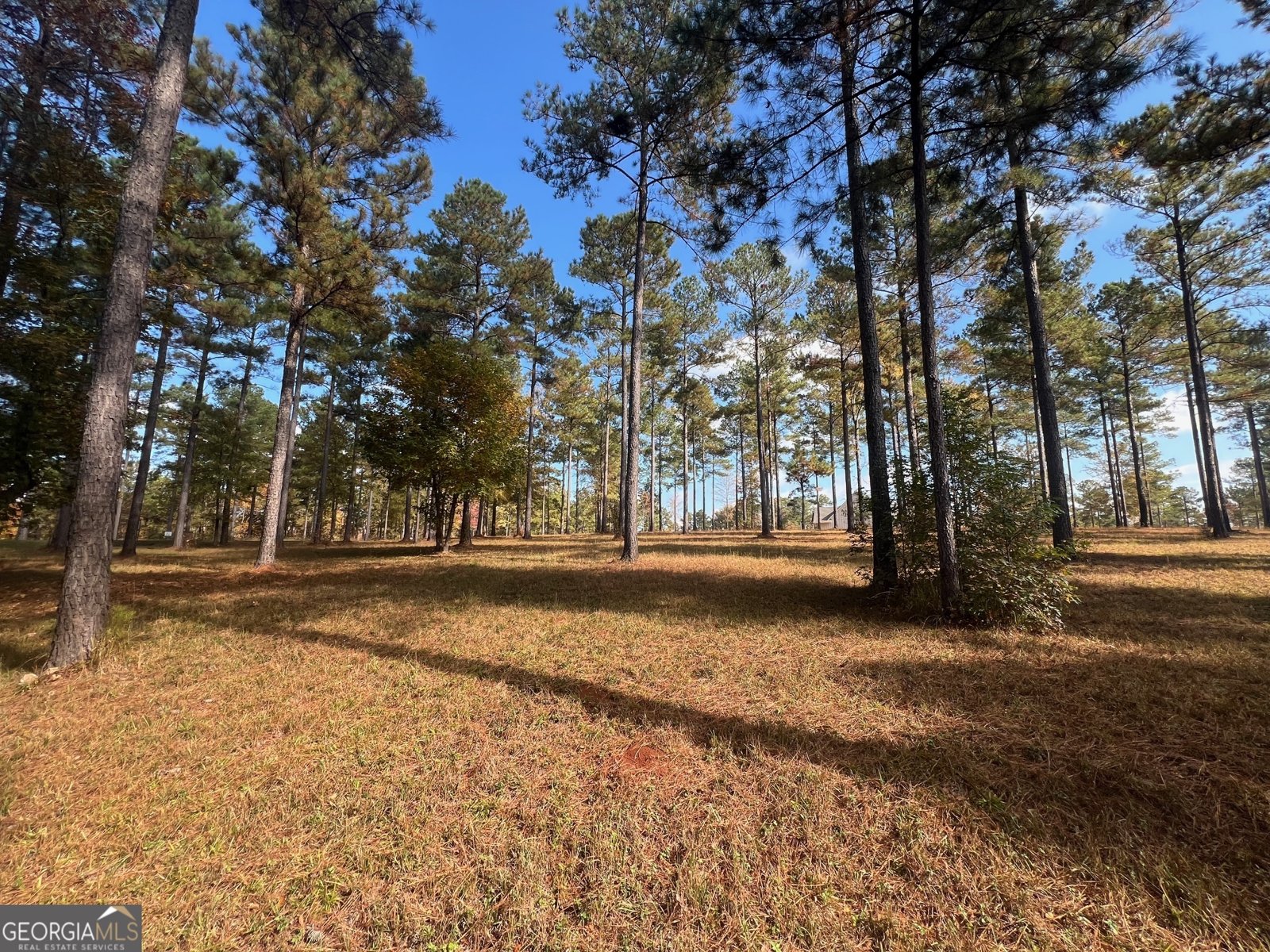 117 Overlook Drive Eatonton - 14