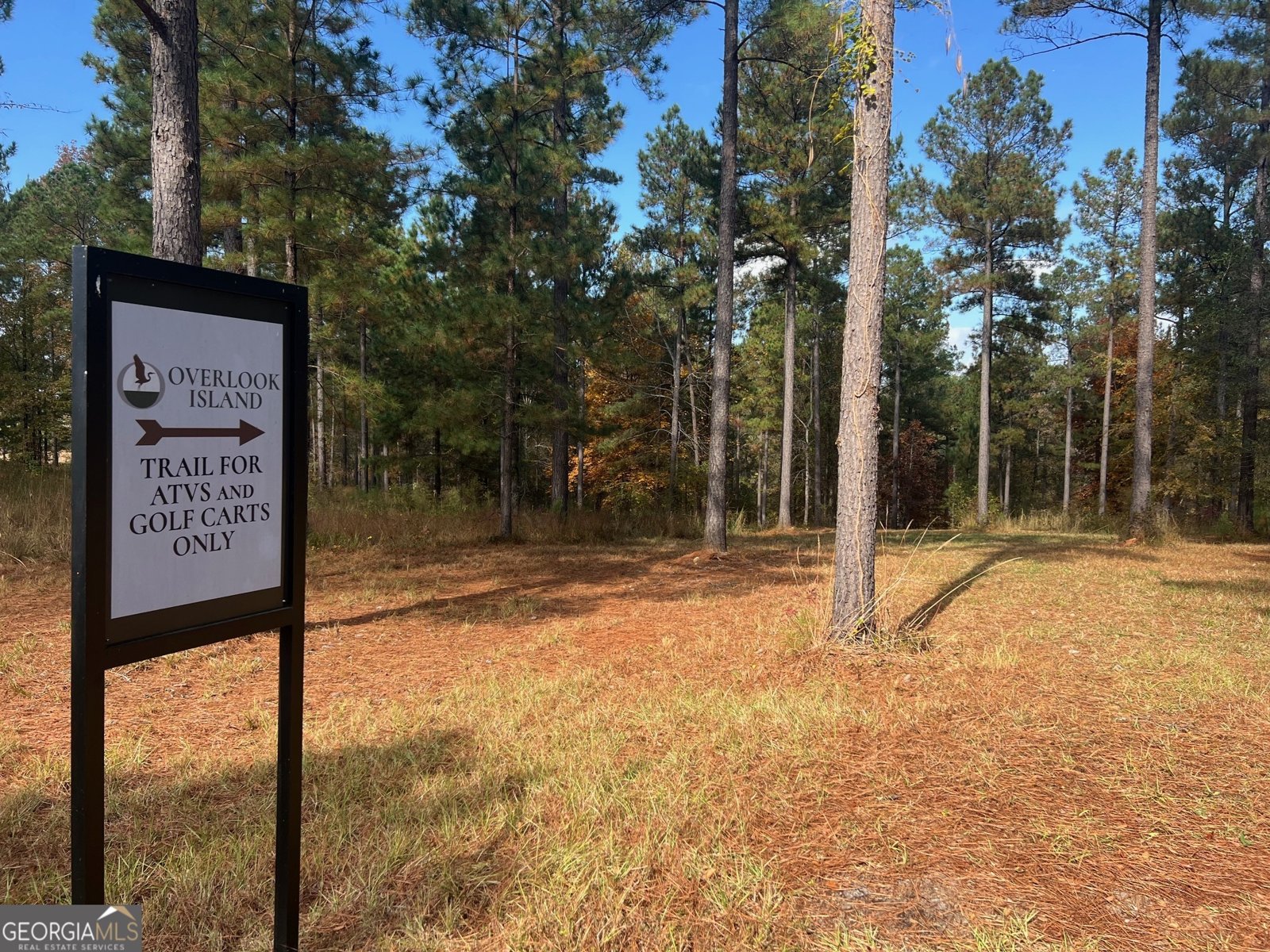 117 Overlook Drive Eatonton - 15