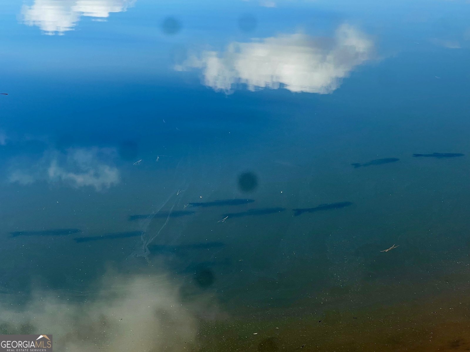 117 Overlook Drive Eatonton - 22