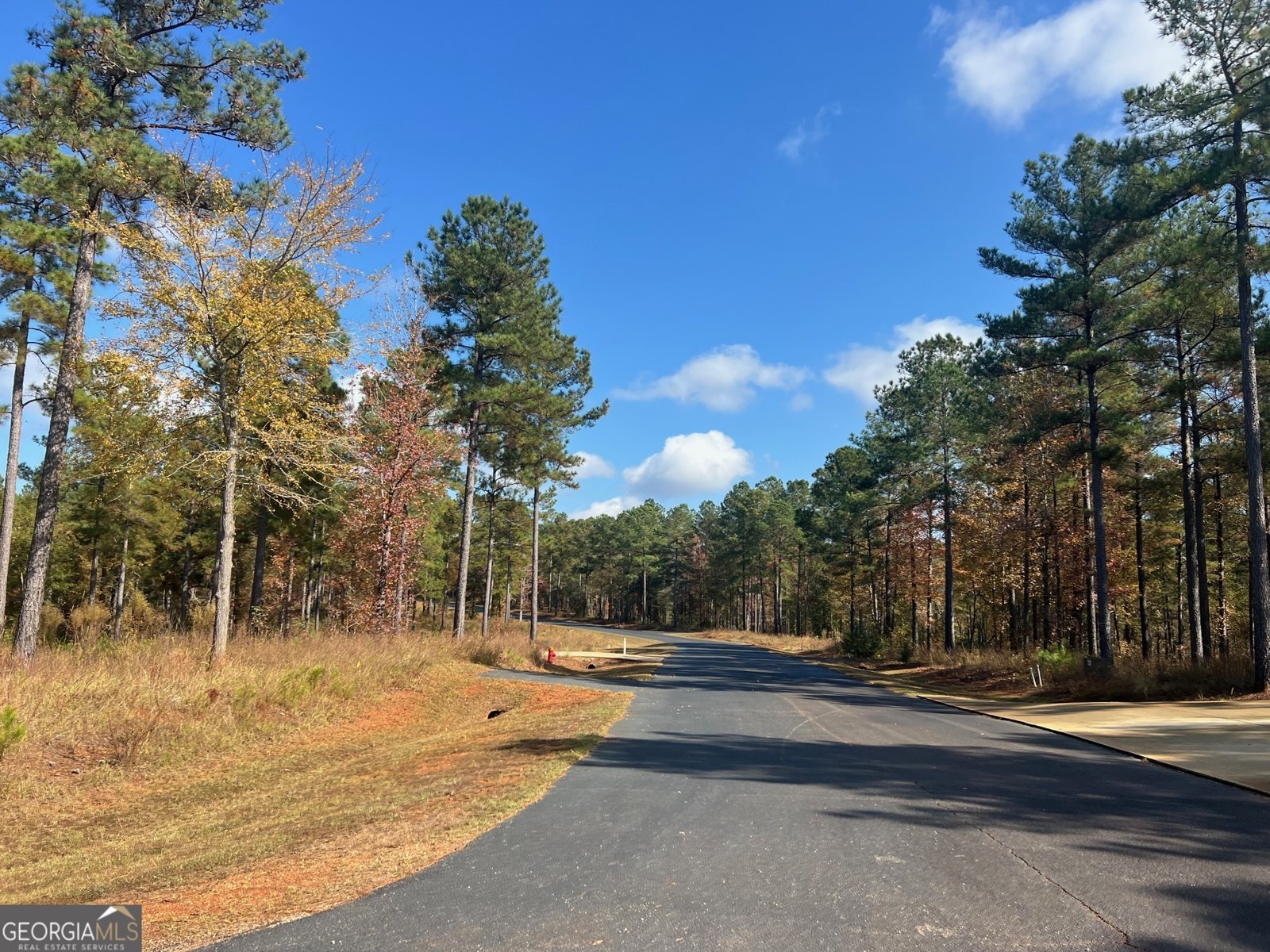 117 Overlook Drive Eatonton - 23