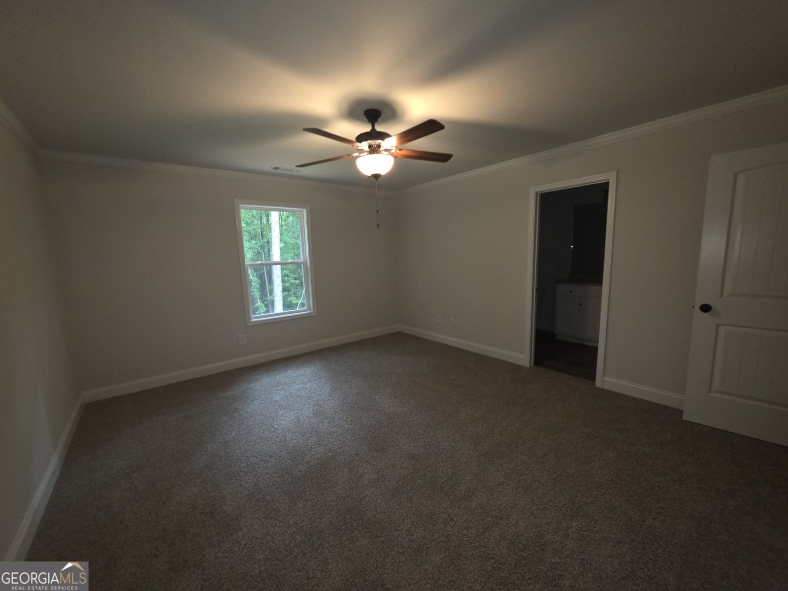 546 Hargrove Lake Road Arnoldsville - Photo 11