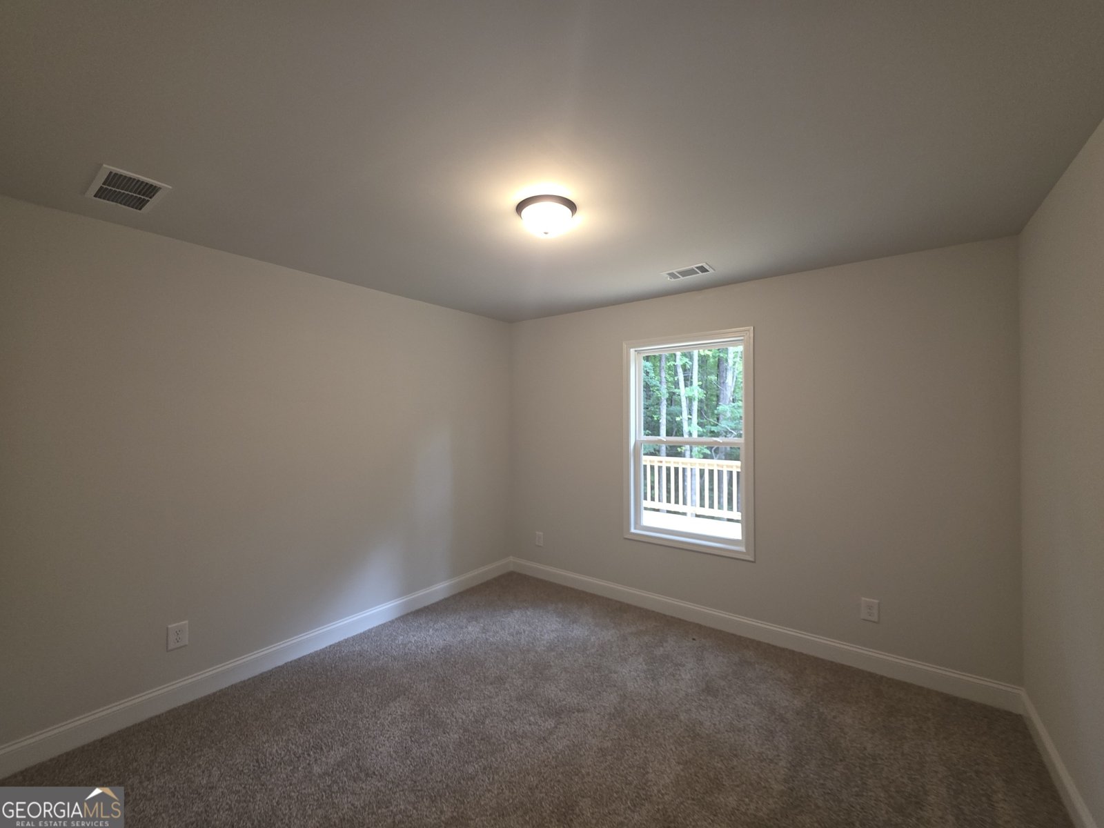 546 Hargrove Lake Road Arnoldsville - Photo 12