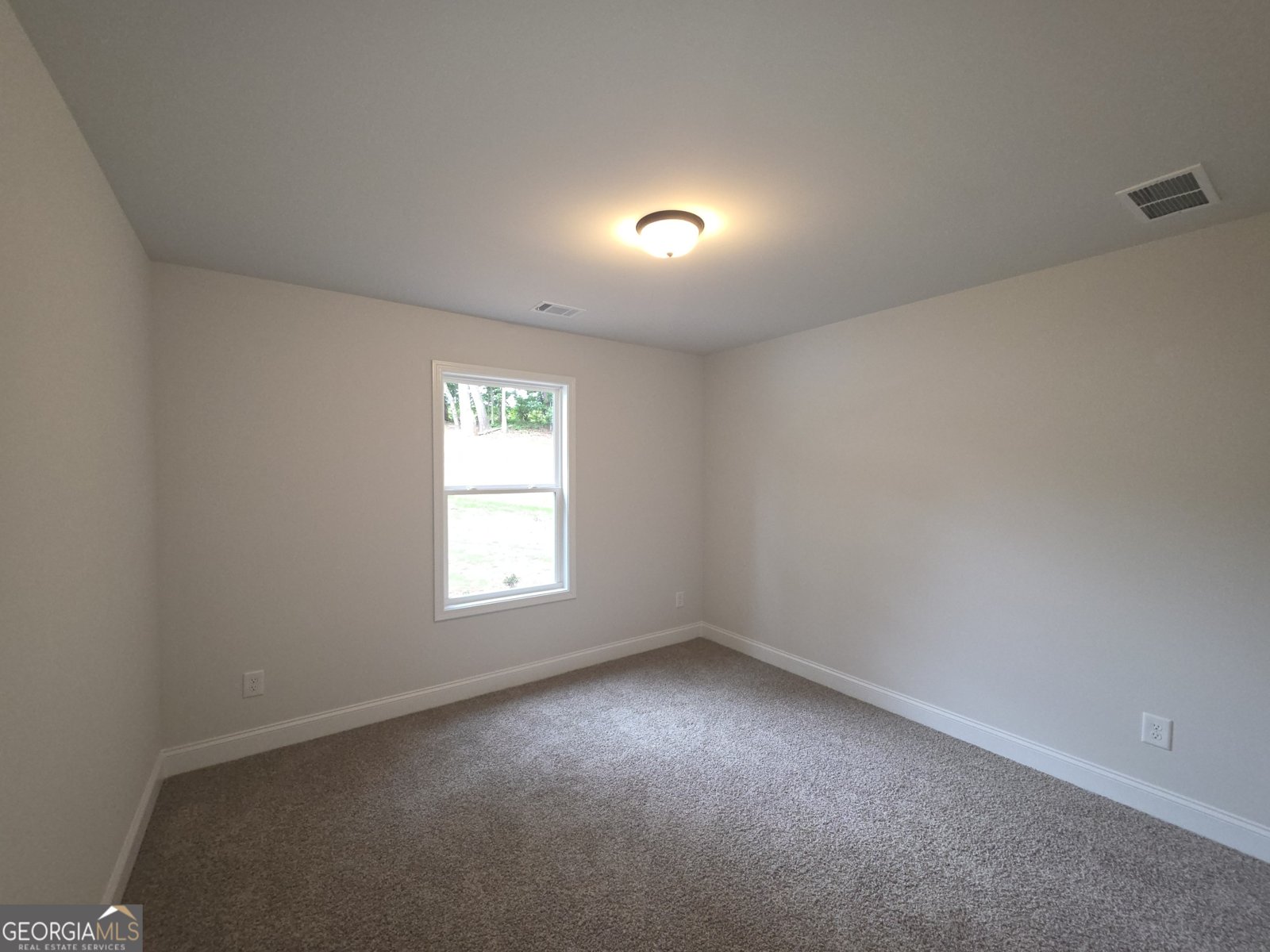 546 Hargrove Lake Road Arnoldsville - Photo 13
