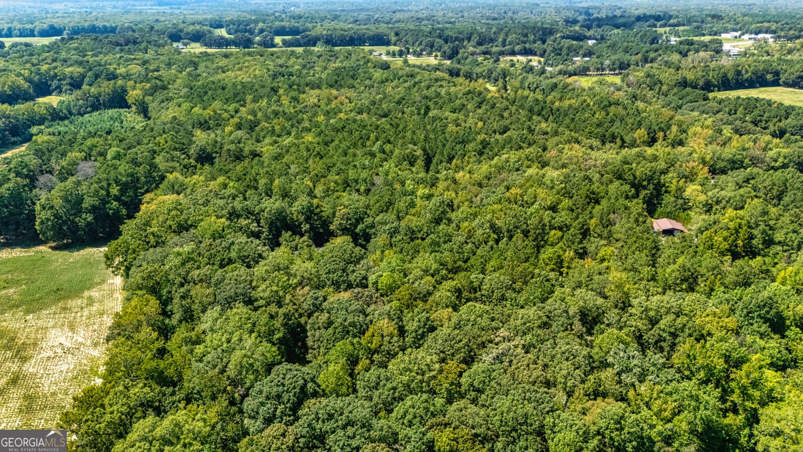 210 Mockingbird Lane Brooks - 16