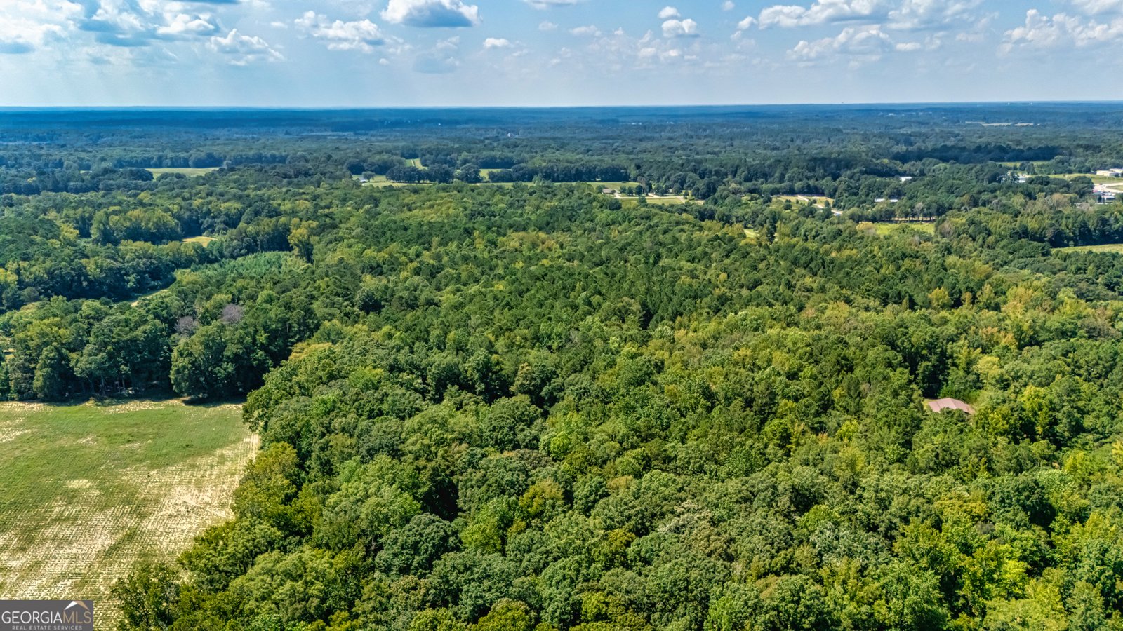 210 Mockingbird Lane Brooks - 17