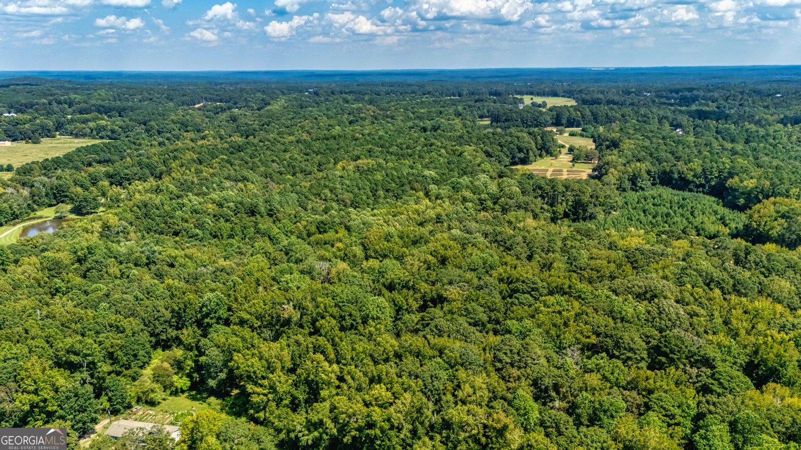 210 Mockingbird Lane Brooks - 87