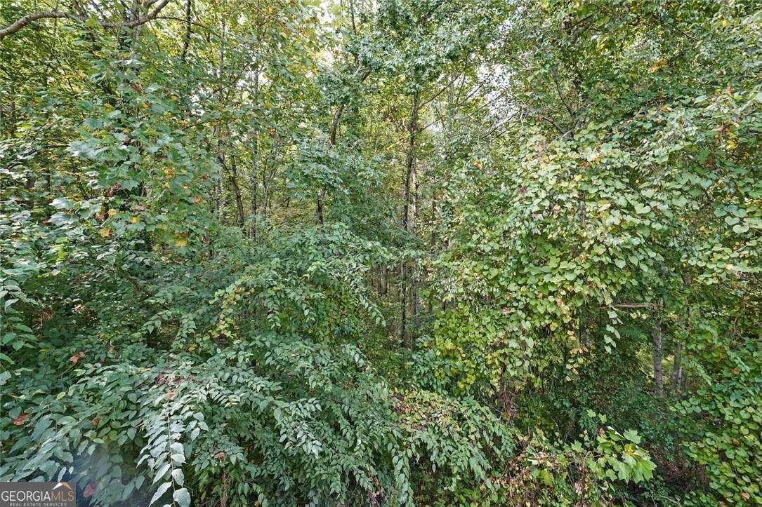 4671 Howell Farms Drive Acworth - 38