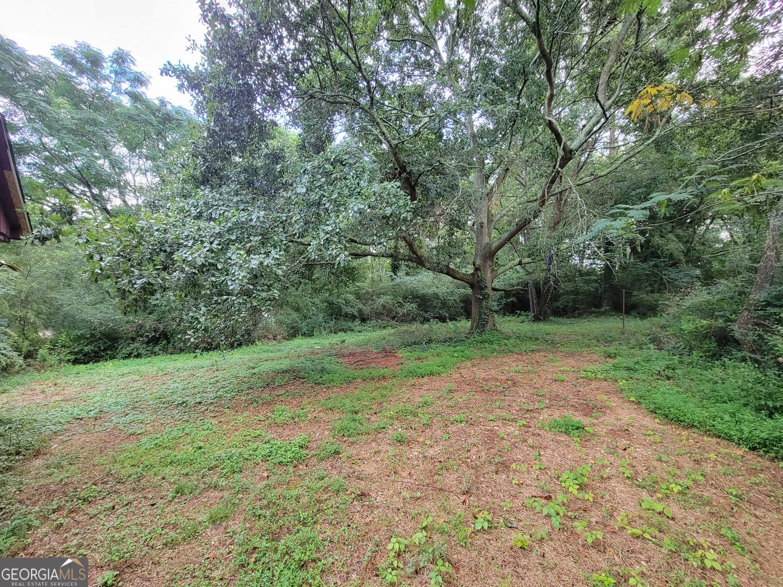 981 Luther Street Atlanta - 4