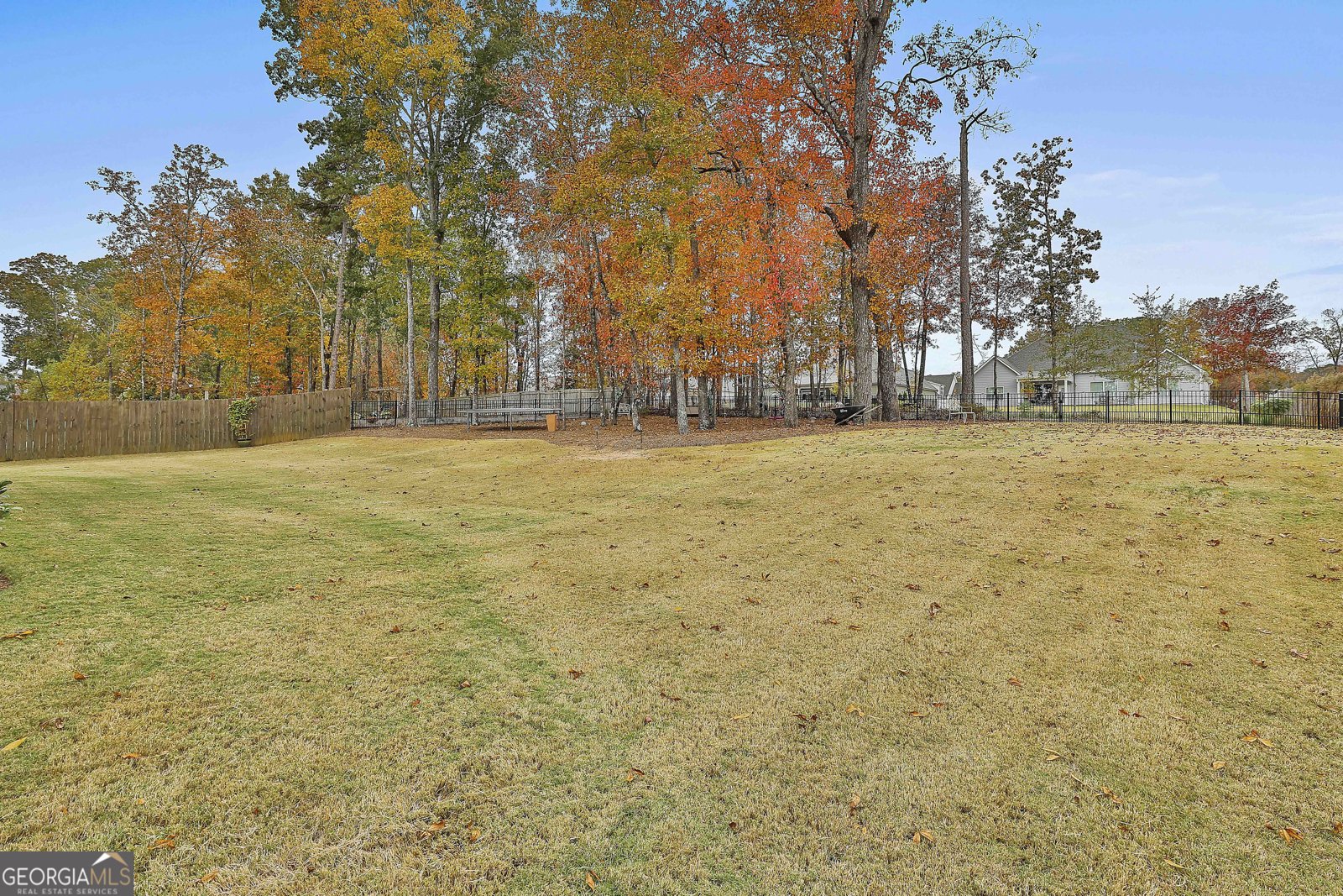 155 Wet Stone Road Senoia - 46