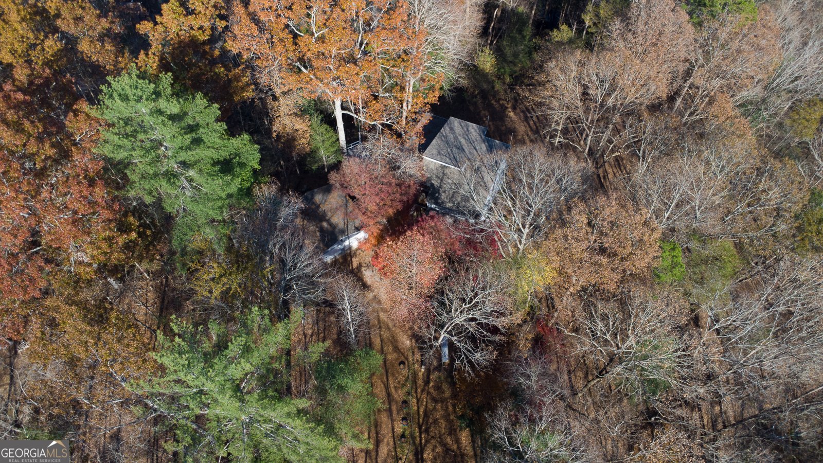 202 Indian Trail Dahlonega - 3