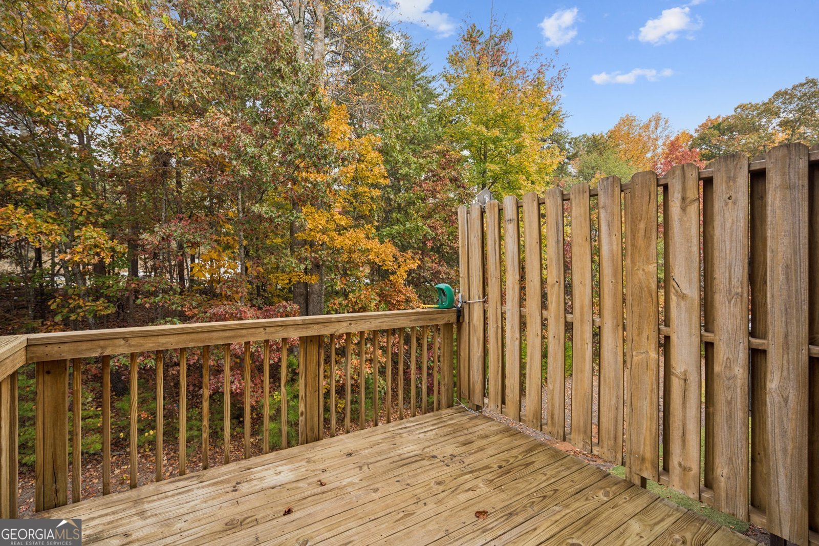 1267 Elderwood Way Cumming - 29