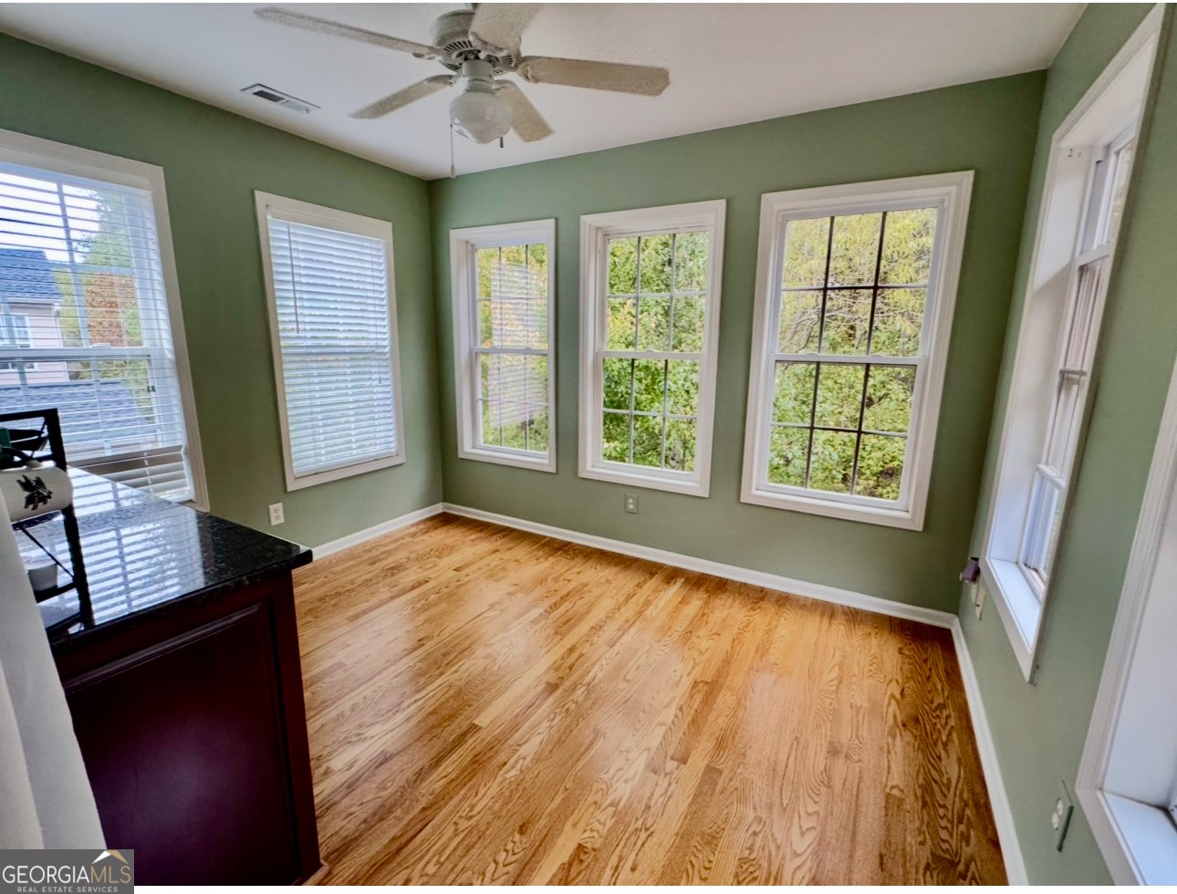 18 American Walk Peachtree City - 54