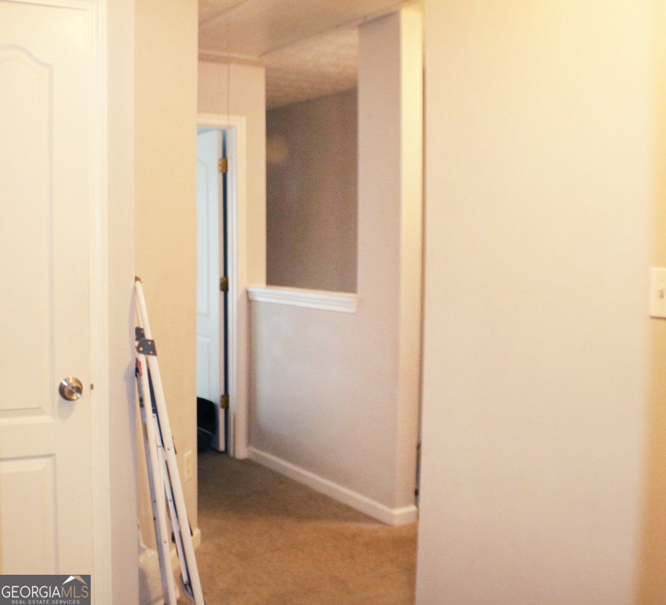 20 Pine Canyon Drive Atlanta - 12