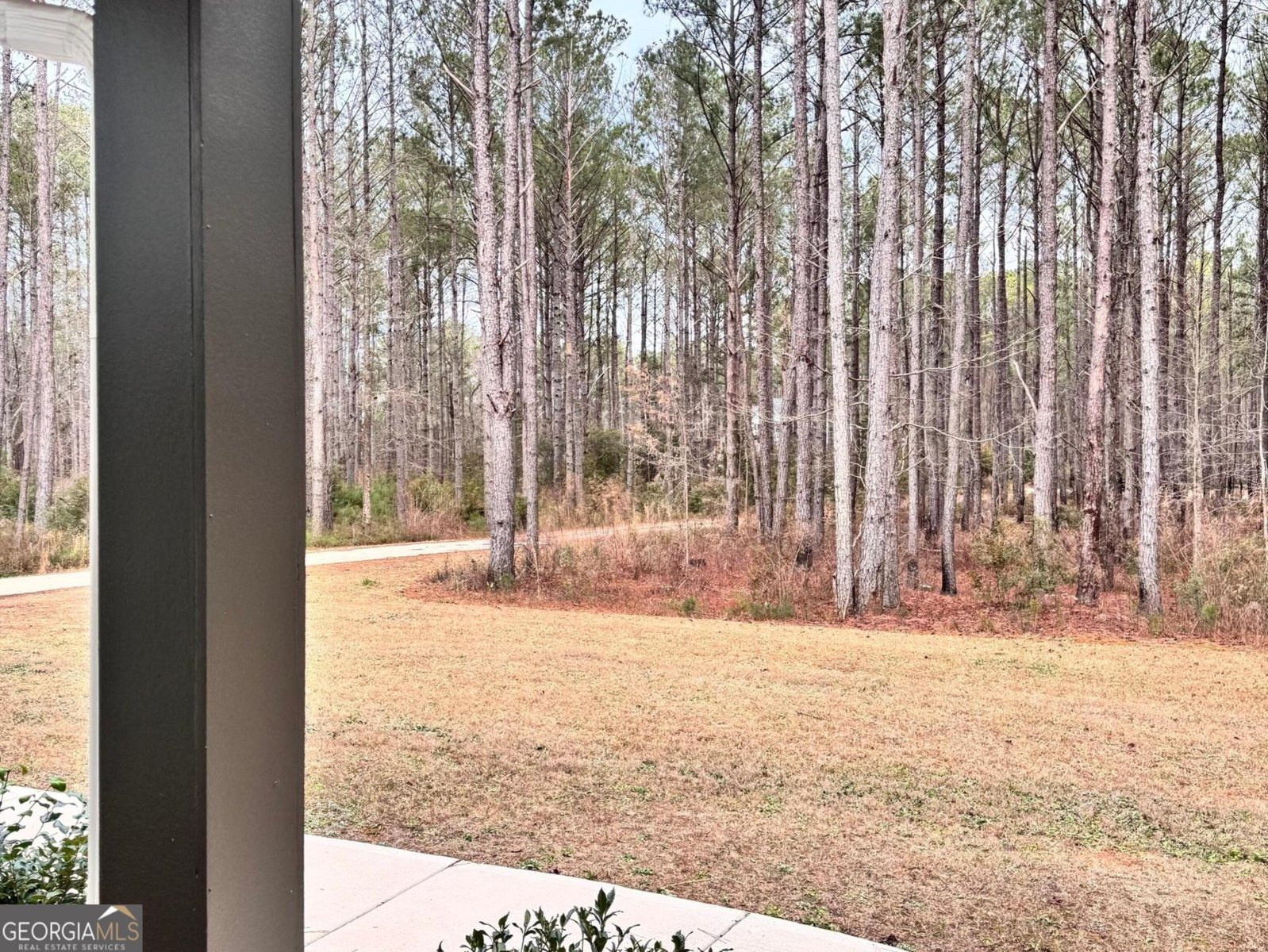 52 Hidden Lake Trail Pine Mountain - 38