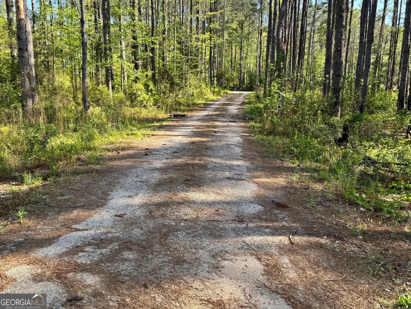 52 Hidden Lake Trail Pine Mountain - 49