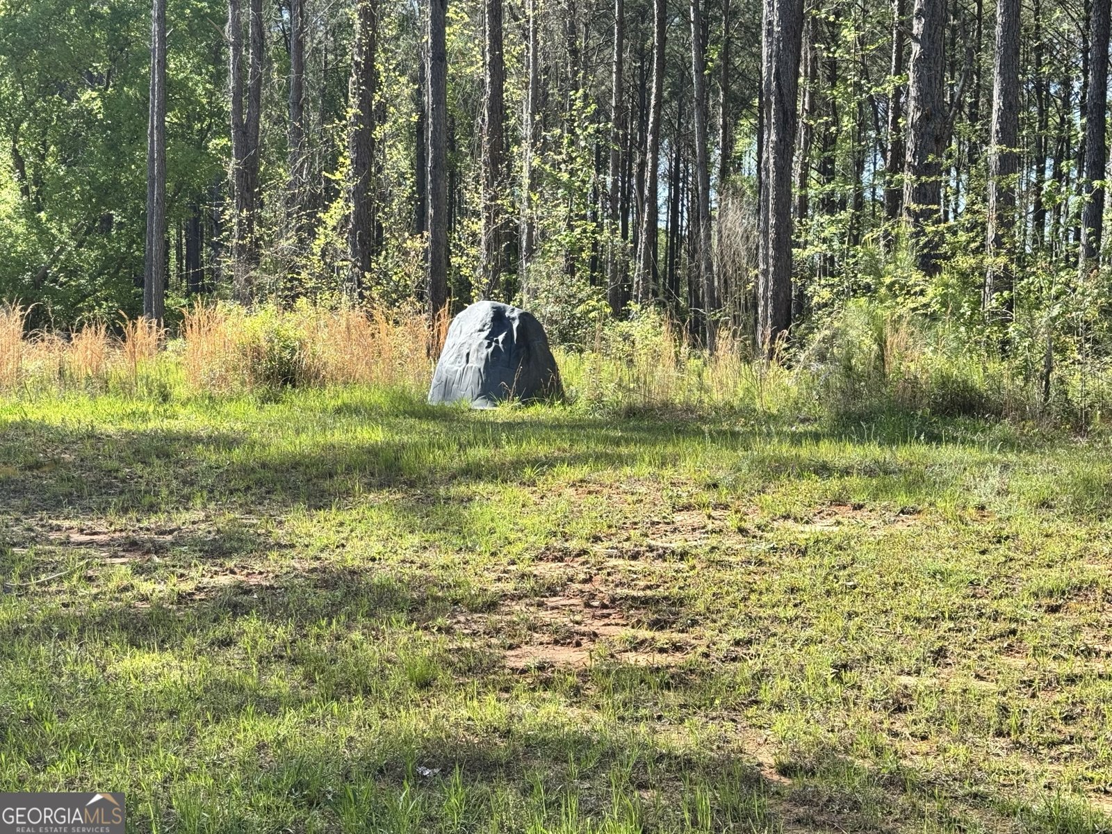 52 Hidden Lake Trail Pine Mountain - 50