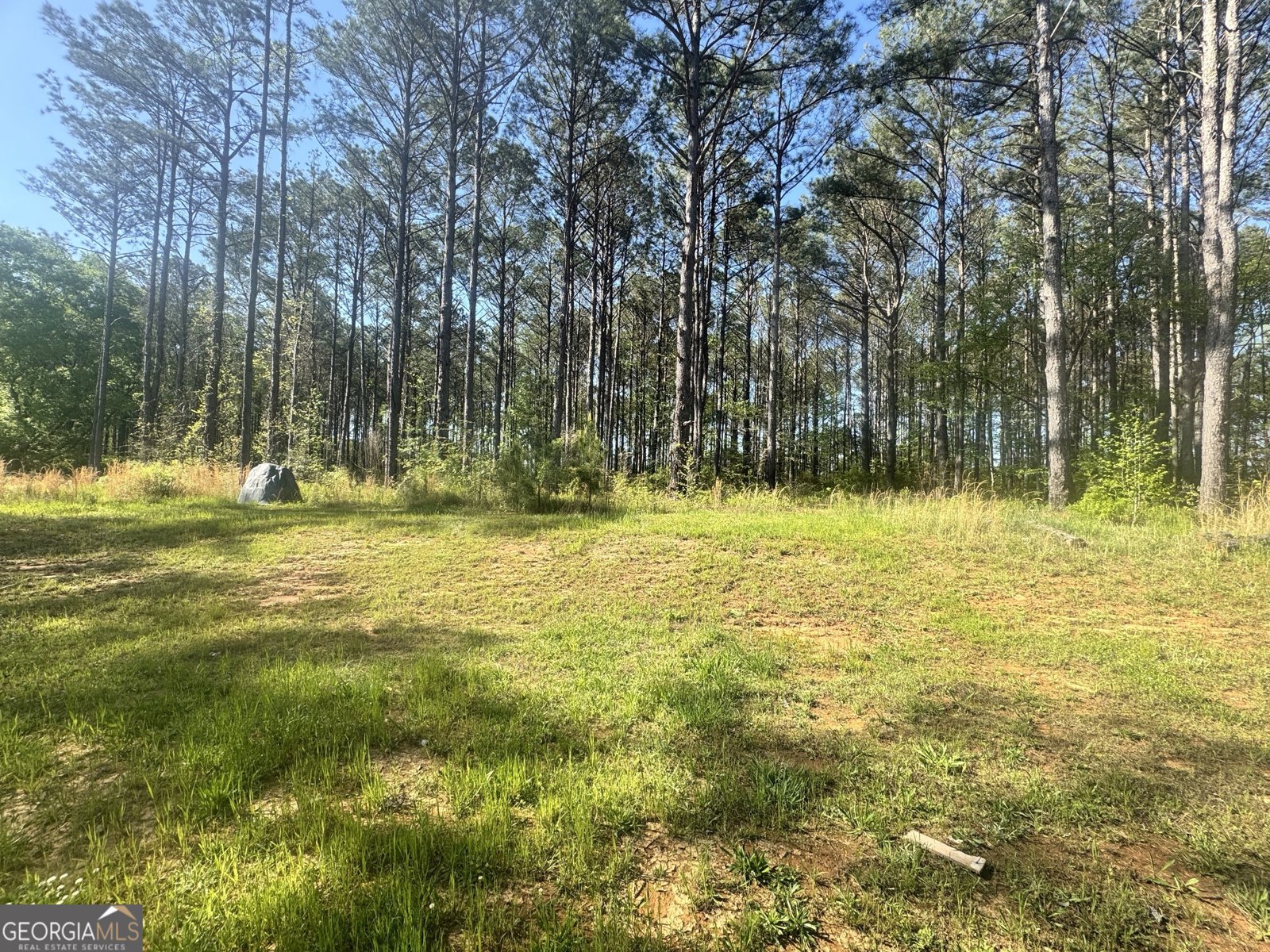 52 Hidden Lake Trail Pine Mountain - 51