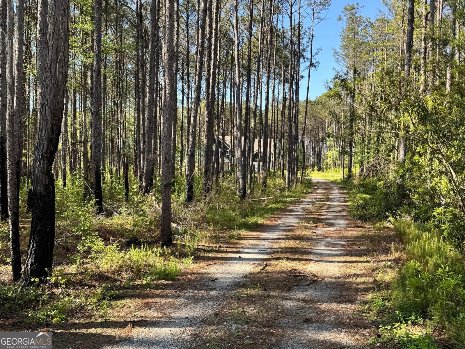 52 Hidden Lake Trail Pine Mountain - 52