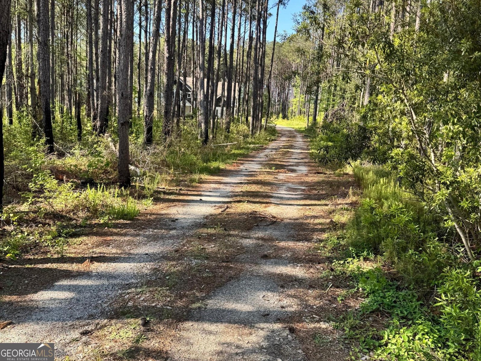 52 Hidden Lake Trail Pine Mountain - 53