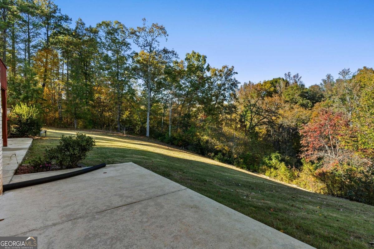 2202 Escalade Court Conyers - 70