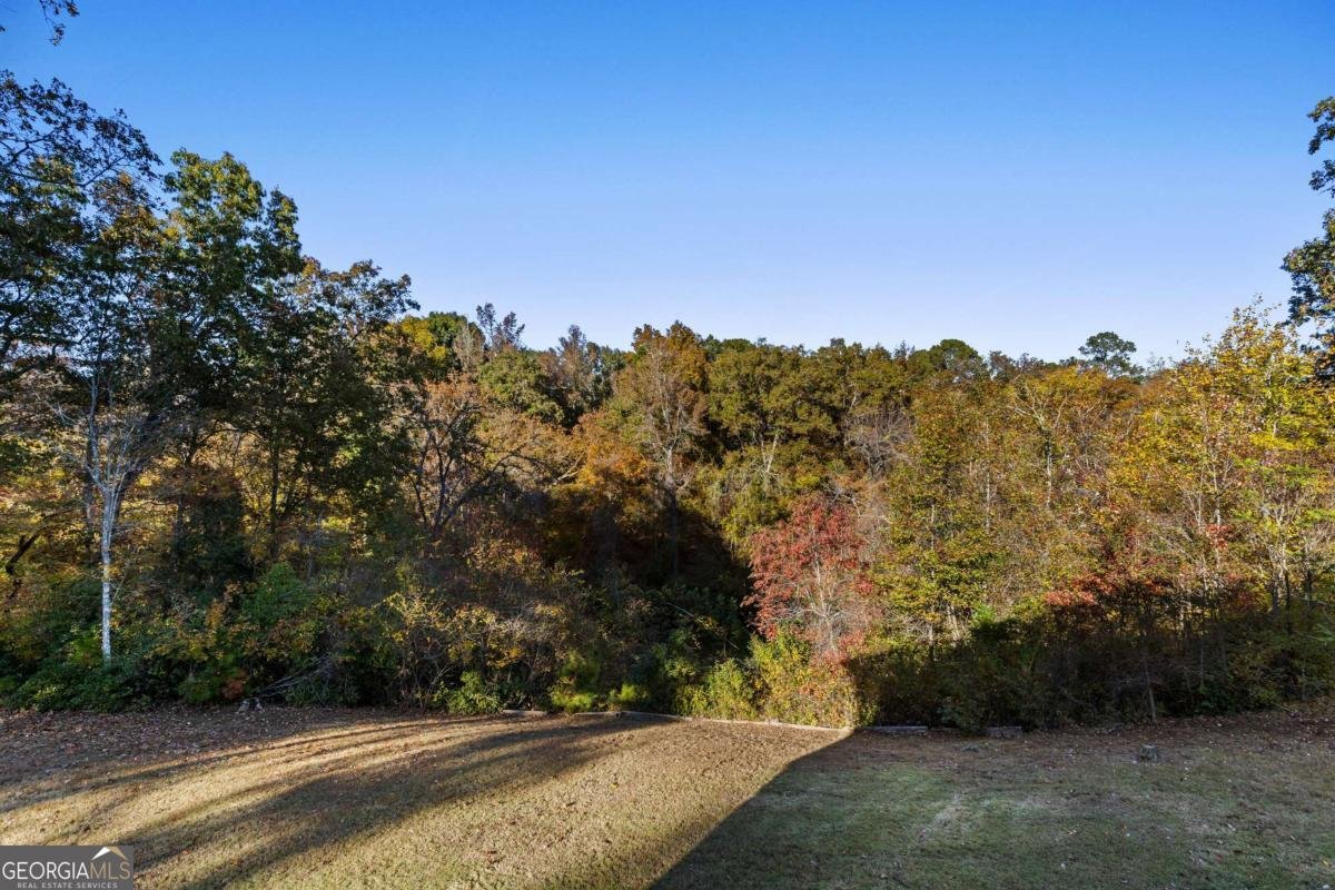 2202 Escalade Court Conyers - 73