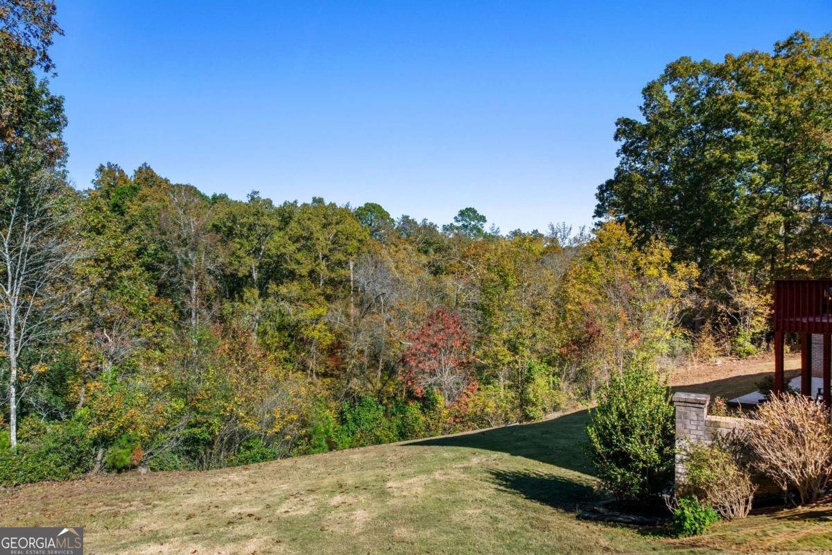 2202 Escalade Court Conyers - 78