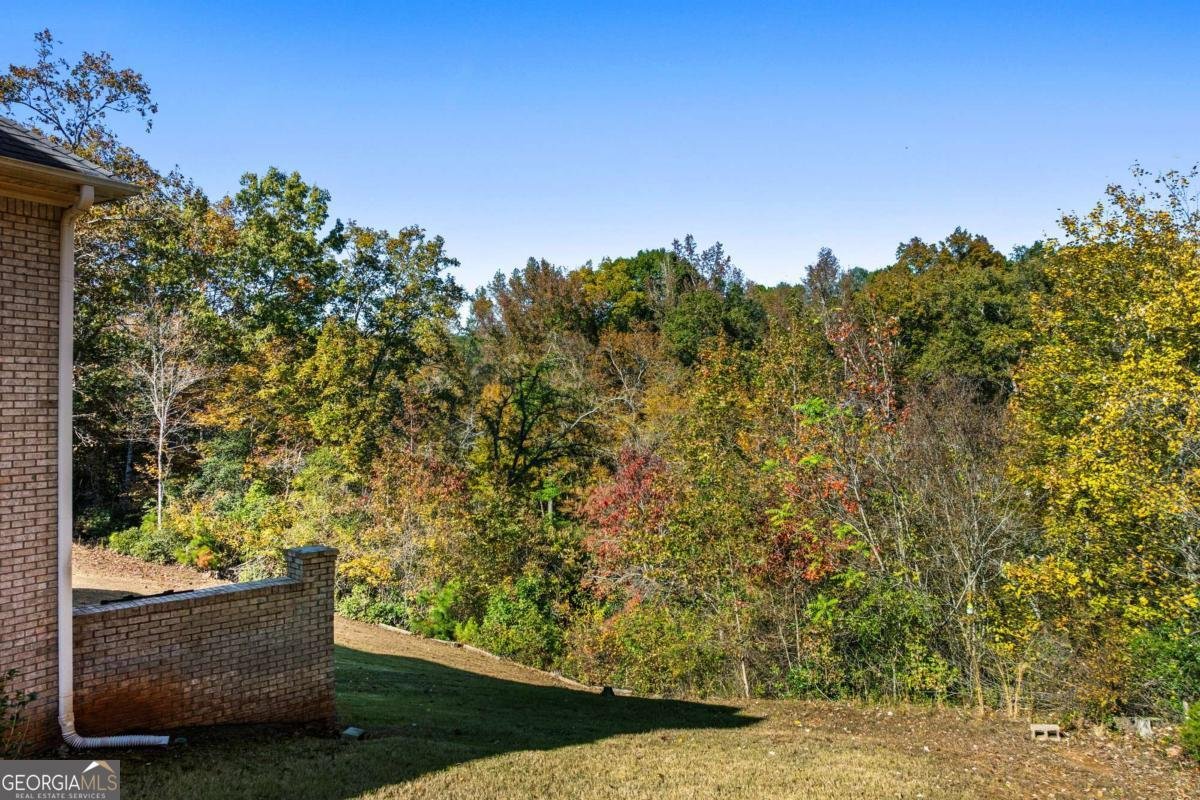 2202 Escalade Court Conyers - 79