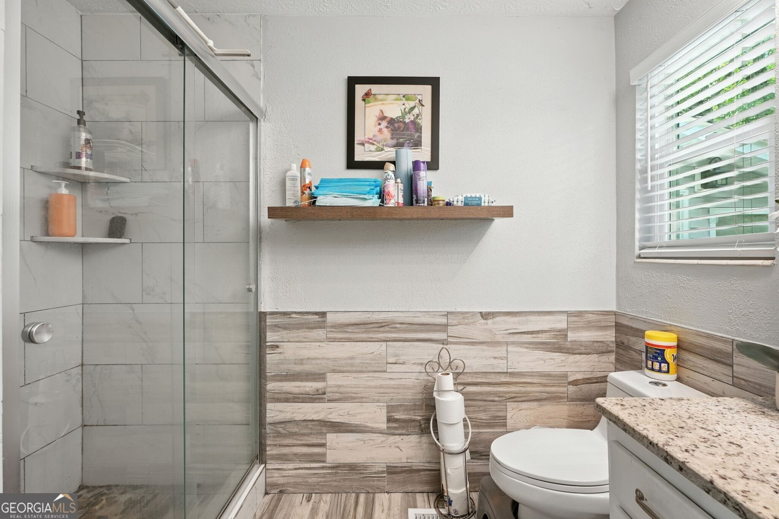 8804 Willow Creek Court Douglasville - 12