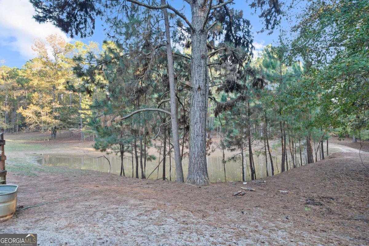 385 Stembridge Road Milledgeville - 34