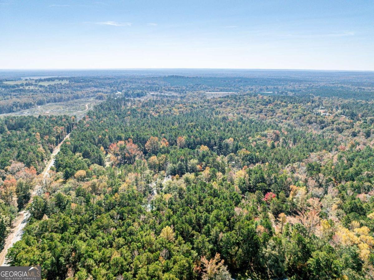 385 Stembridge Road Milledgeville - 53