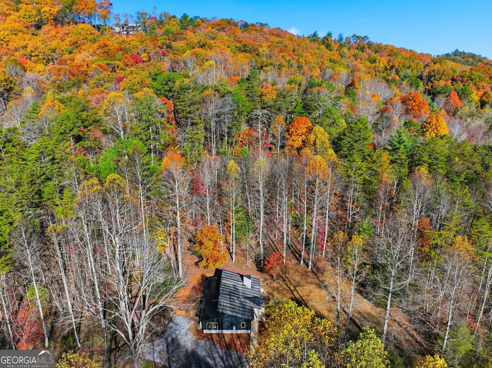 138 Cottonwood Lane Blue Ridge - 31