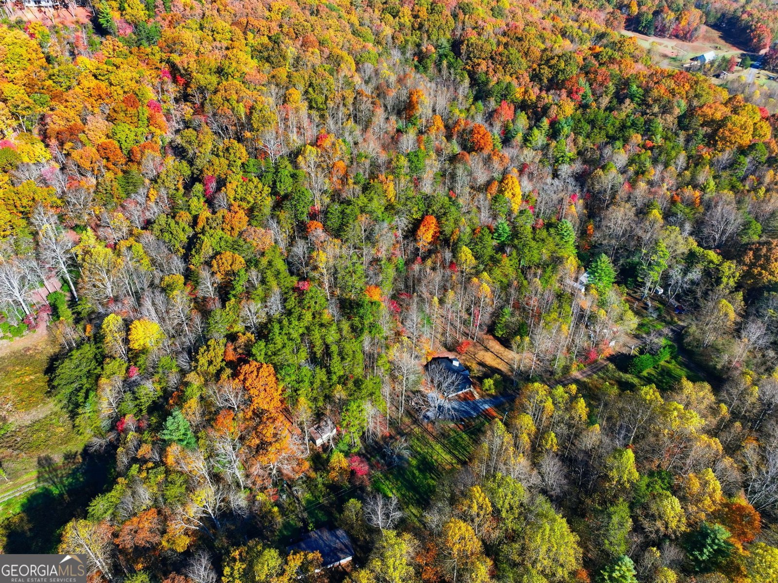 138 Cottonwood Lane Blue Ridge - 34