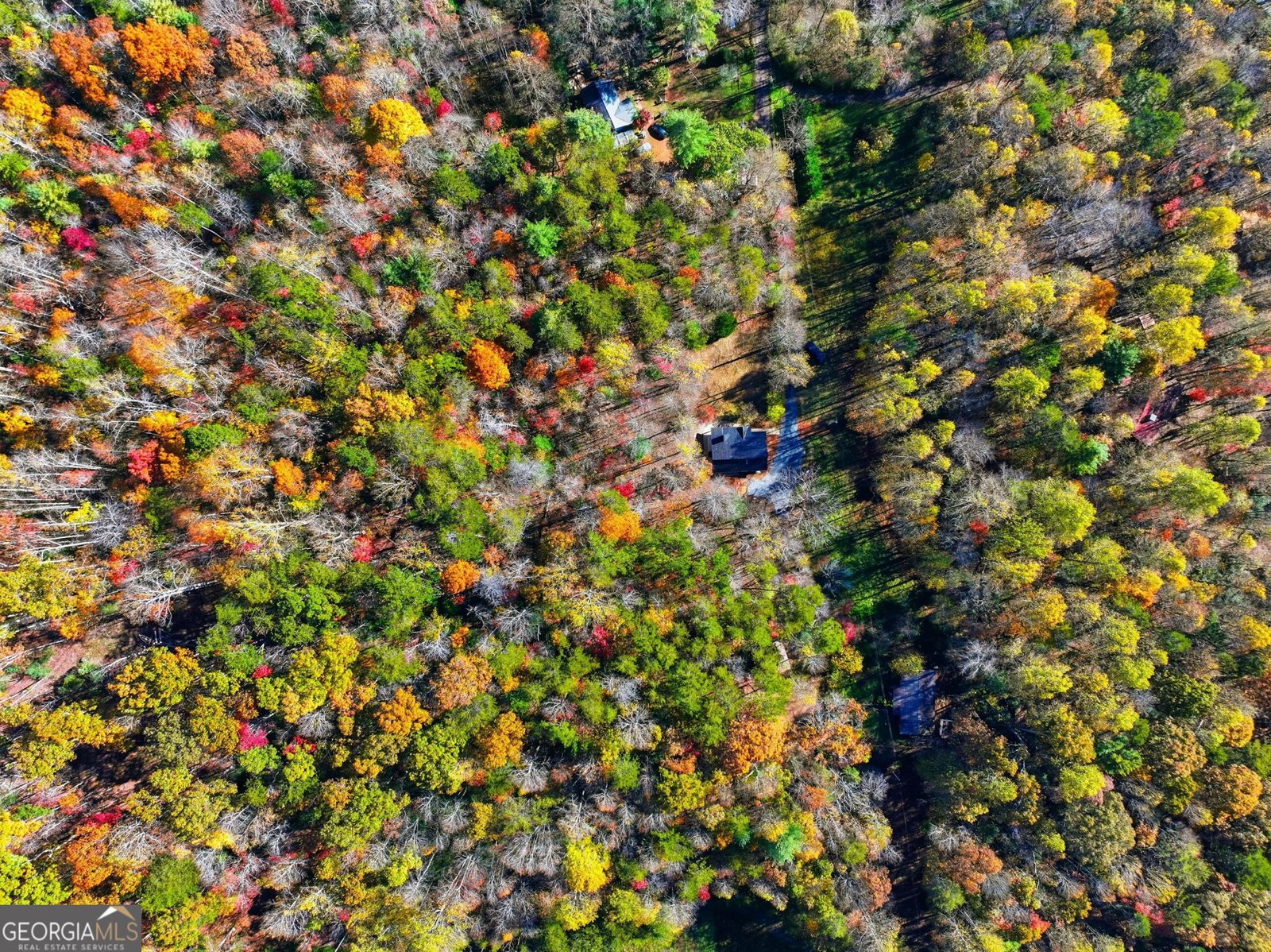 138 Cottonwood Lane Blue Ridge - 35