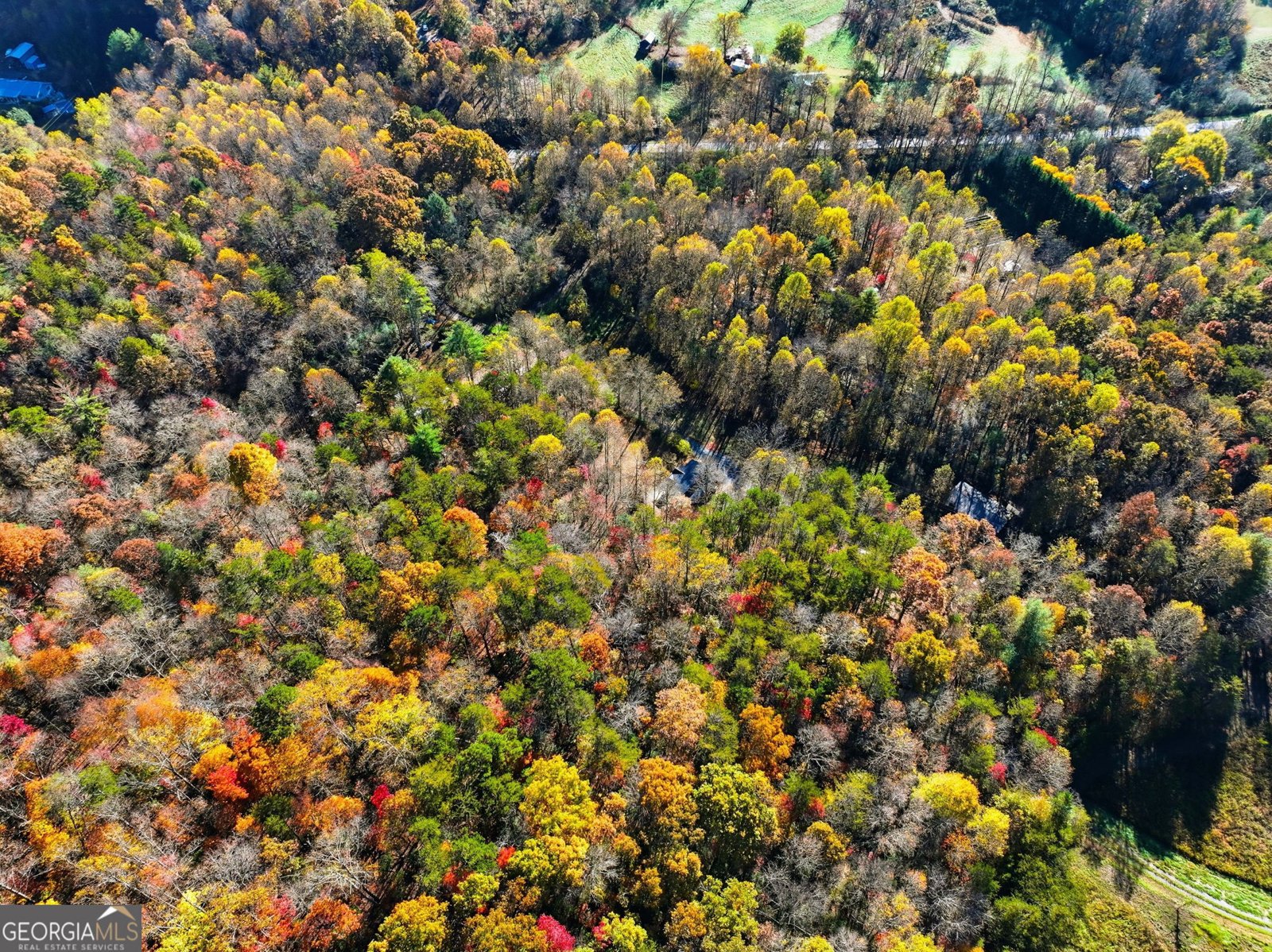 138 Cottonwood Lane Blue Ridge - 36