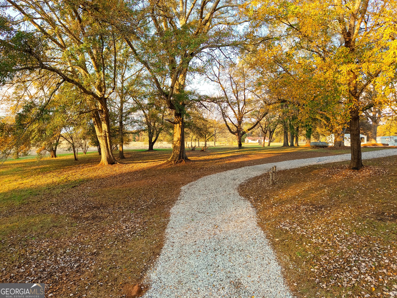 269 Martin Dairy Road Milner - 10