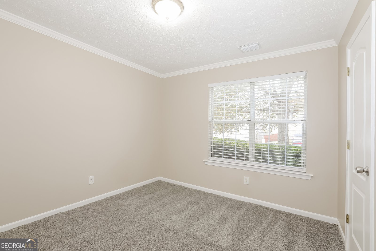 6005 Winston Trace McDonough - 11