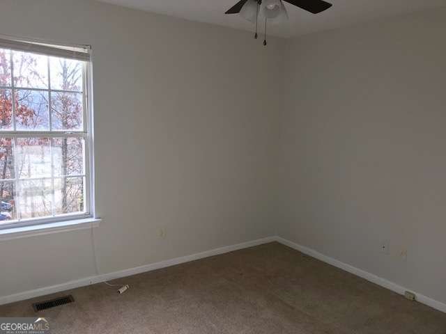 4086 Parks Road Flowery Branch - 12