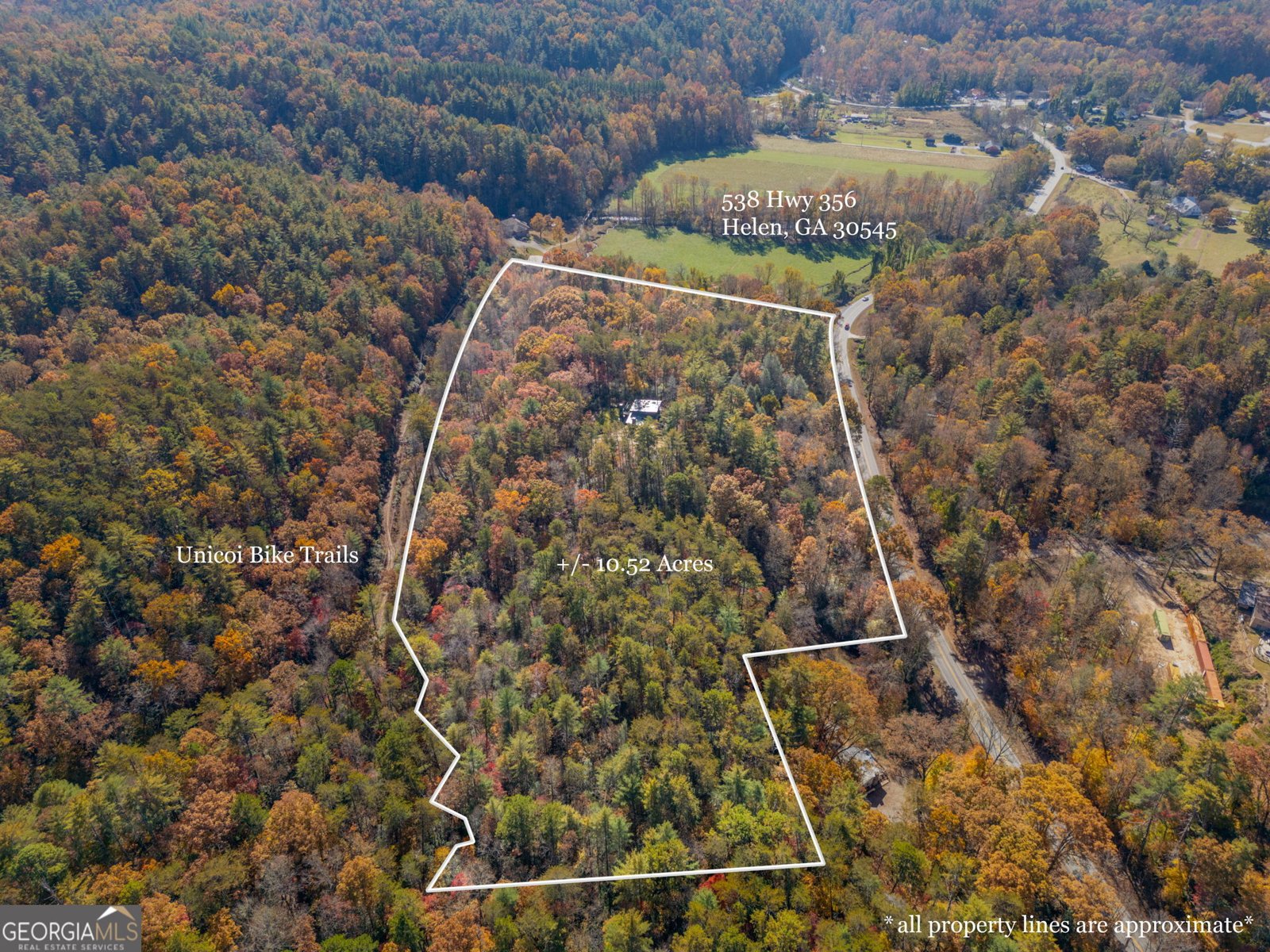 538 Highway 356 Helen - 28