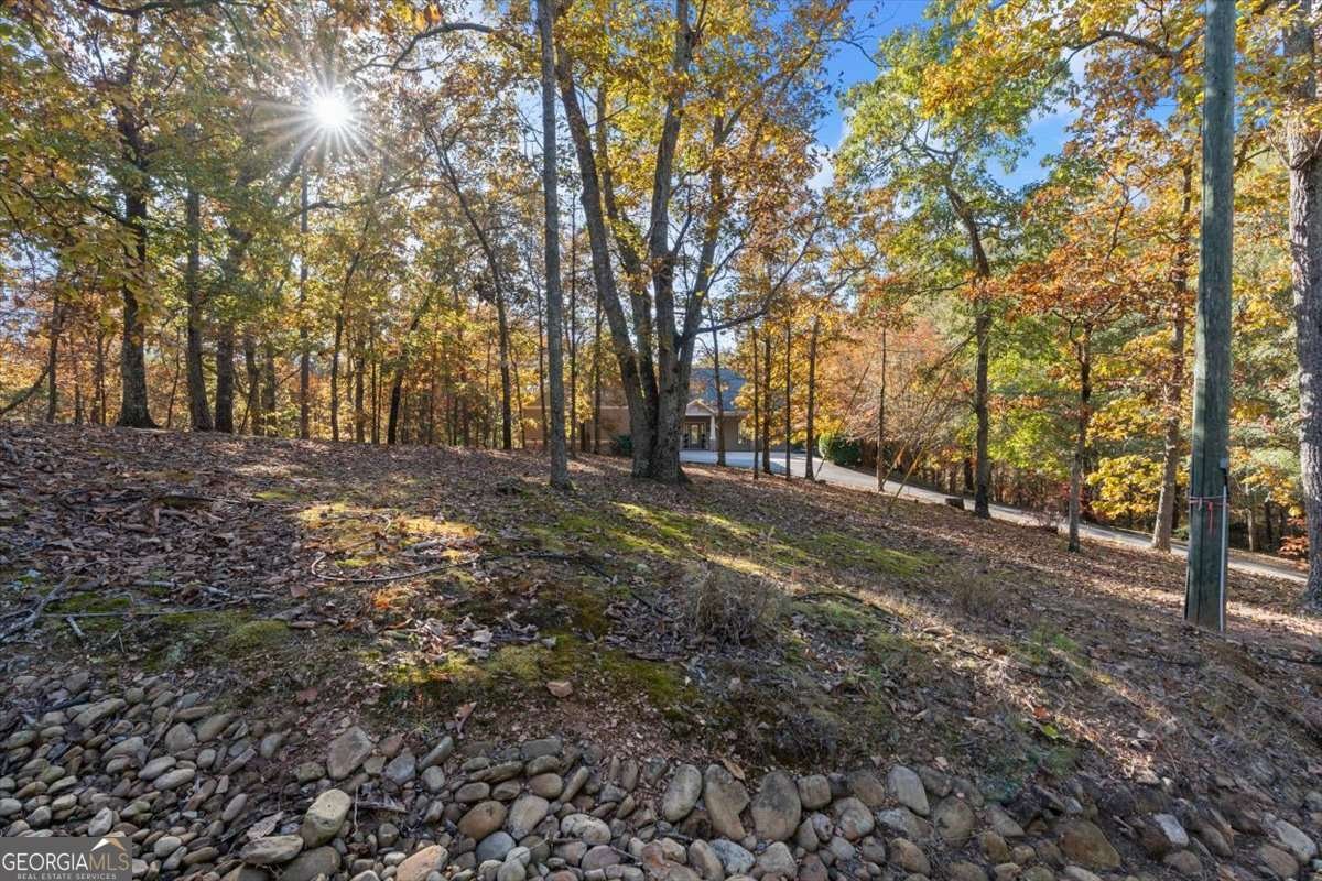 37 Oak Hill Lane Cartersville - 71