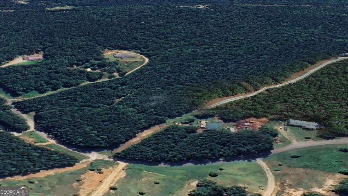 0 Williamson Road Tallapoosa - 5